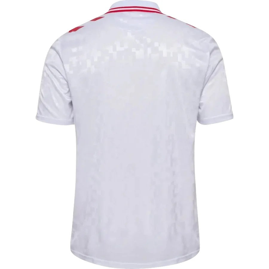New Denmark Away Soccer Jersey EURO 2024 Men