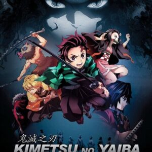 DVD Anime Demon Slayer: Kimetsu no Yaiba Complete TV Series (1-26) English SUB