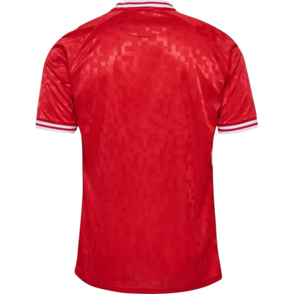 DenmarkHome1 New Denmark Home Soccer Jersey EURO 2024 Men